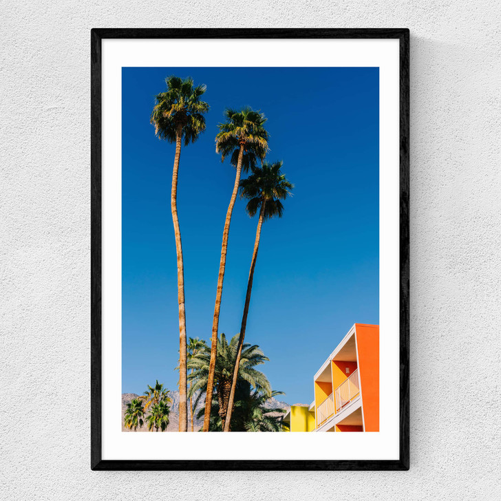 Palm Springs Vibes V Narrow Black Frame Palm Springs Vibes V Narrow Black Frame