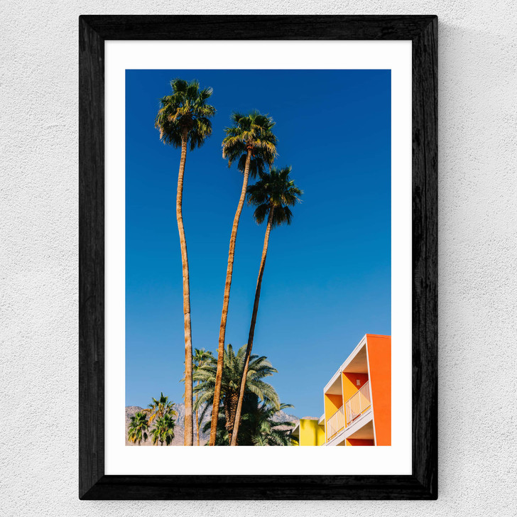 Palm Springs Vibes V Wide Black Frame Palm Springs Vibes V Wide Black Frame