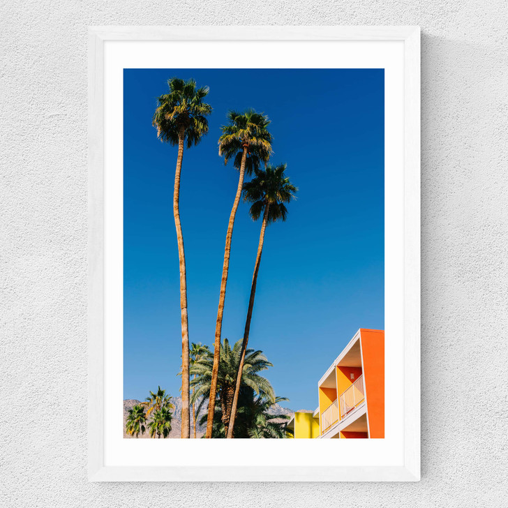 Palm Springs Vibes V Medium White Frame Palm Springs Vibes V Medium White Frame