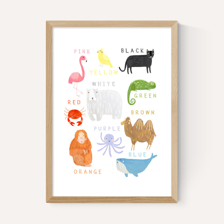 Animals
