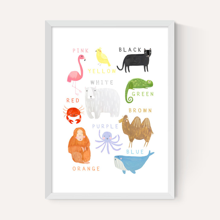 Animals