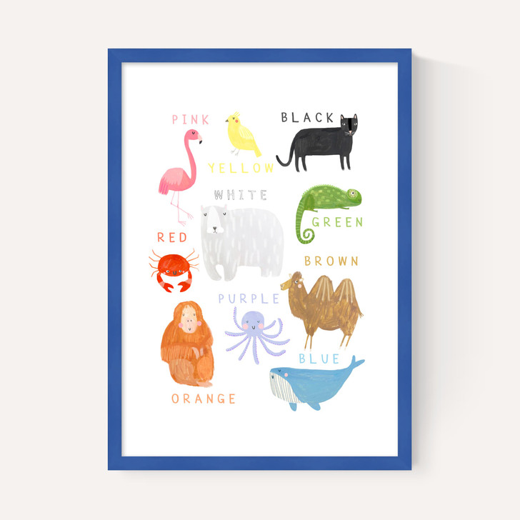 Animals