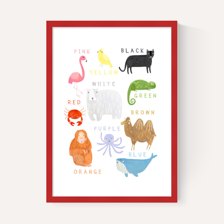 Animals