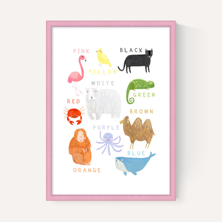 Animals
