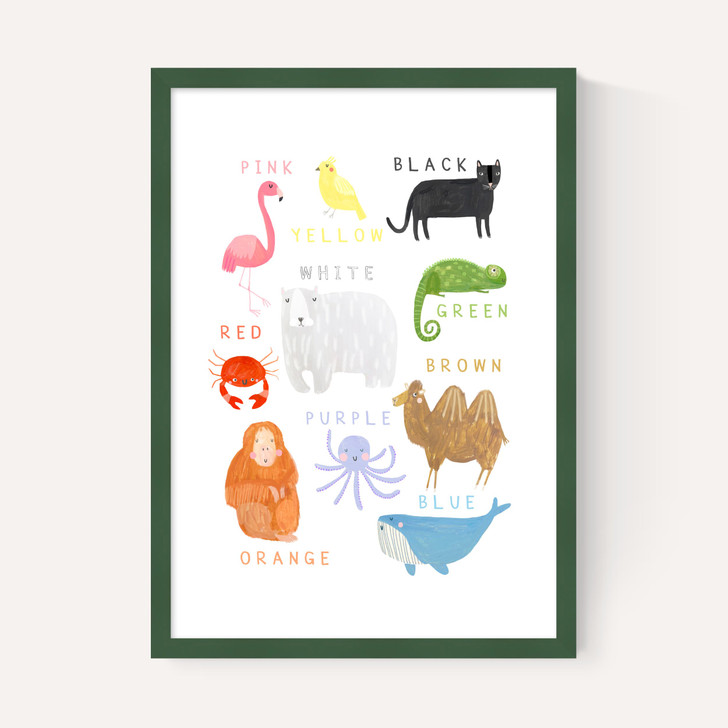 Animals