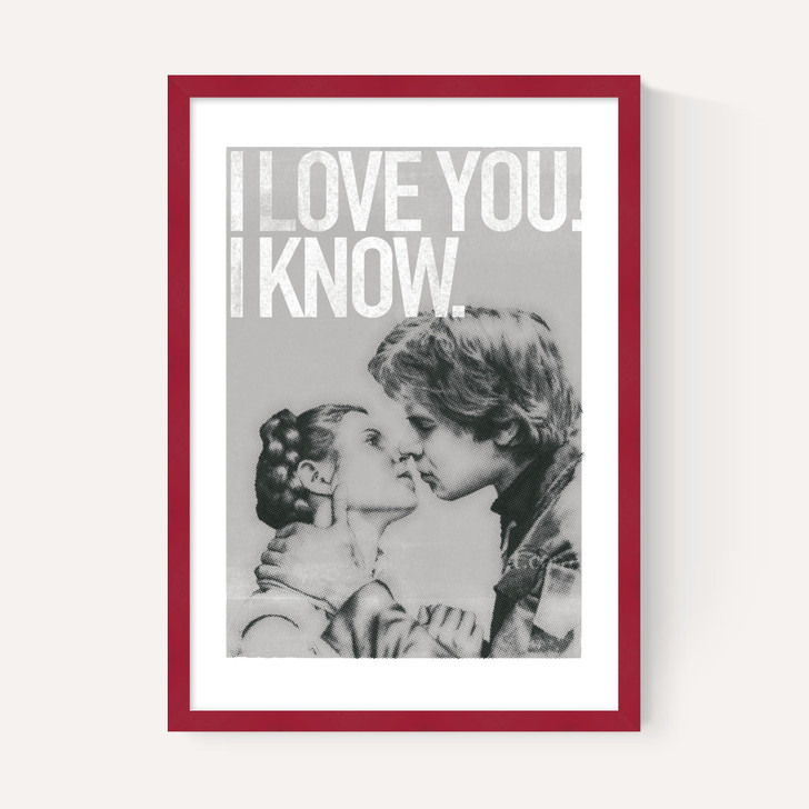 Han and Leia Kiss Black and White