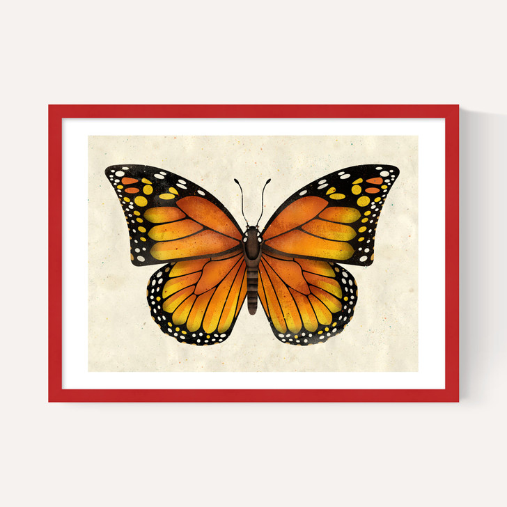 Butterfly by Dieter Braun