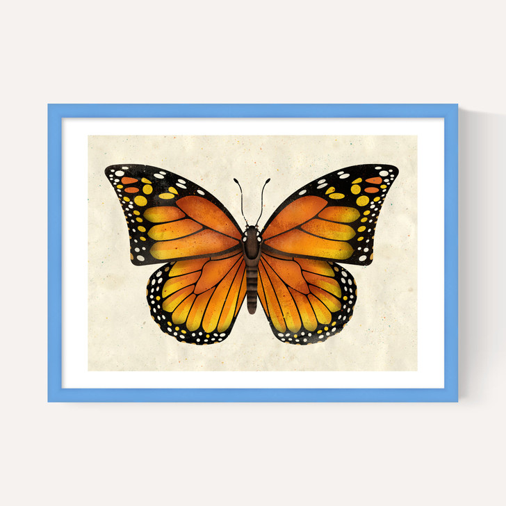 Butterfly by Dieter Braun