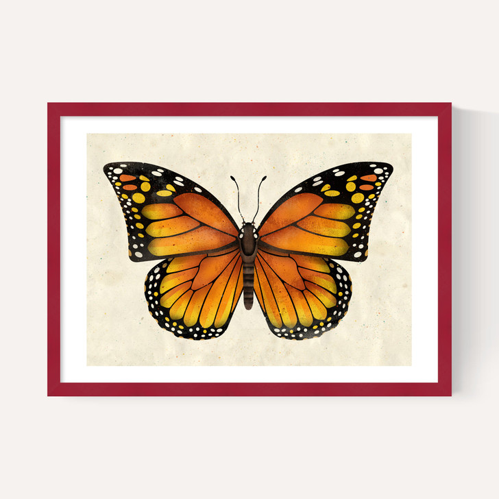 Butterfly by Dieter Braun
