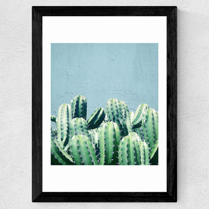Cactus and Teal Wide Black Frame