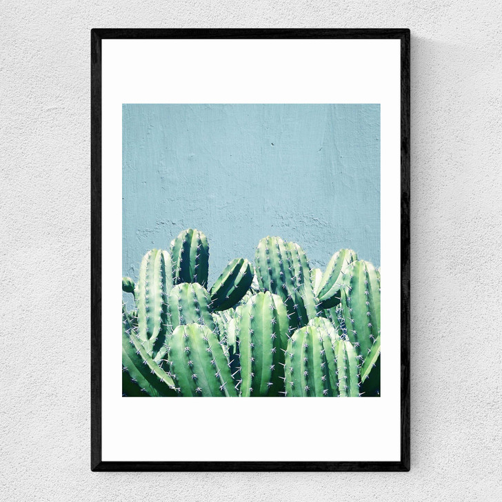 Cactus and Teal Narrow Black Frame