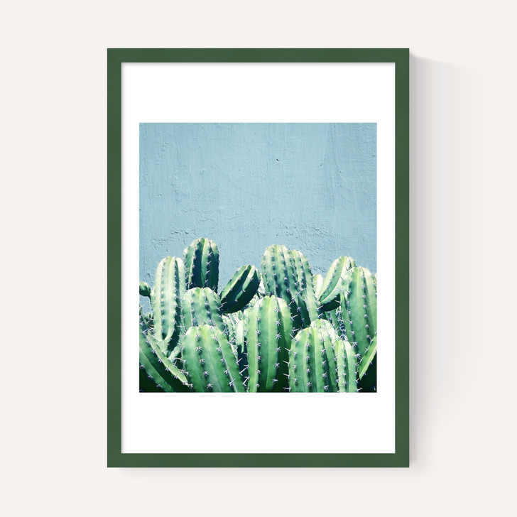 Cactus and Teal
