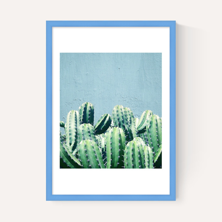 Cactus and Teal