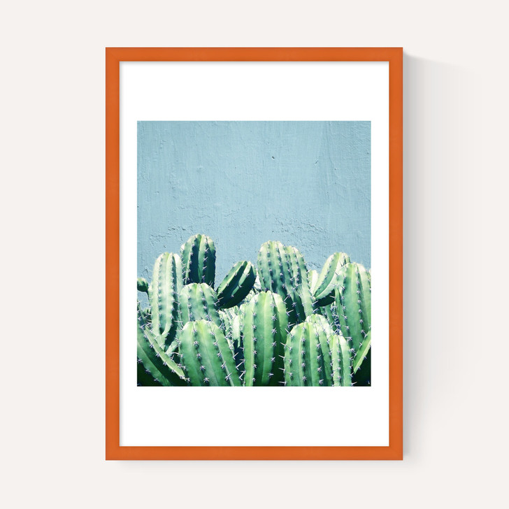 Cactus and Teal