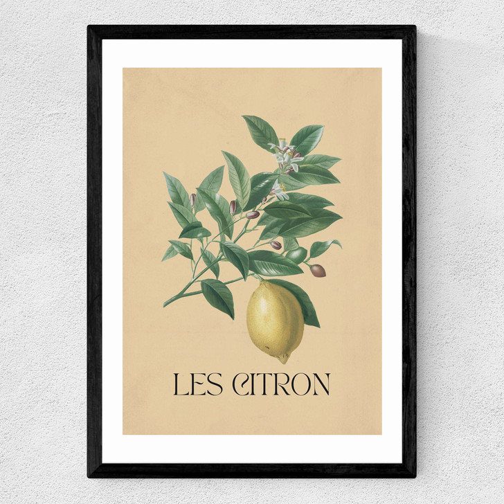 Les Citron Medium Black Frame Les Citron Medium Black Frame