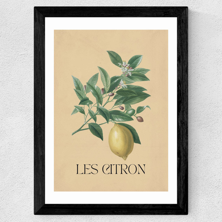 Les Citron Wide Black Frame Les Citron Wide Black Frame