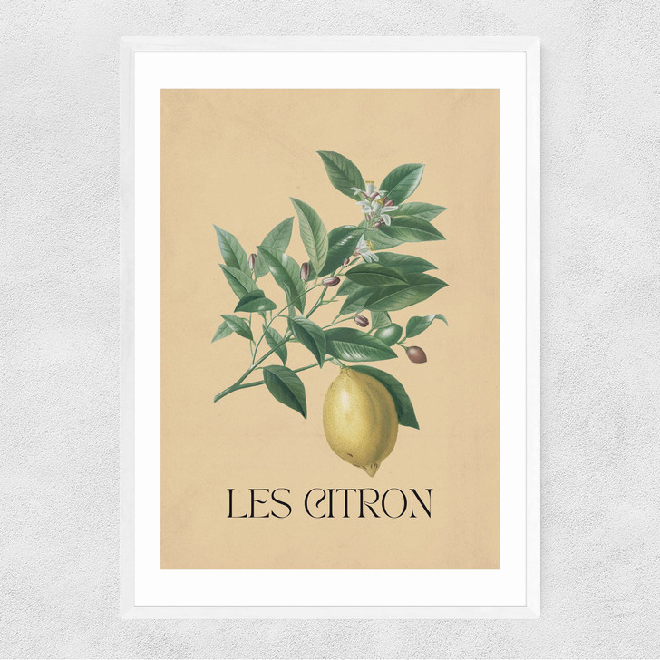 Les Citron Narrow White Frame Les Citron Narrow White Frame