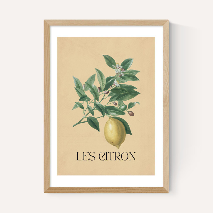 Les Citron