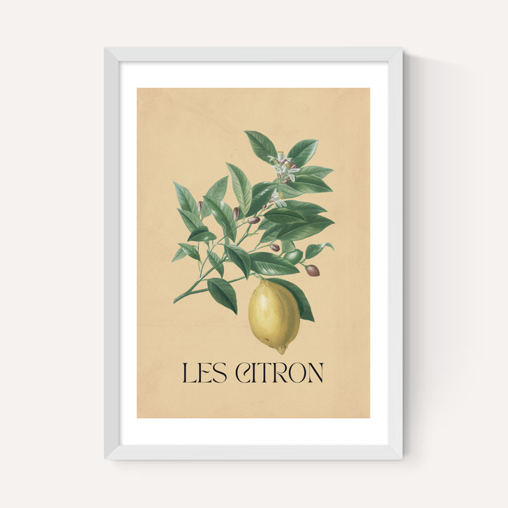 Les Citron