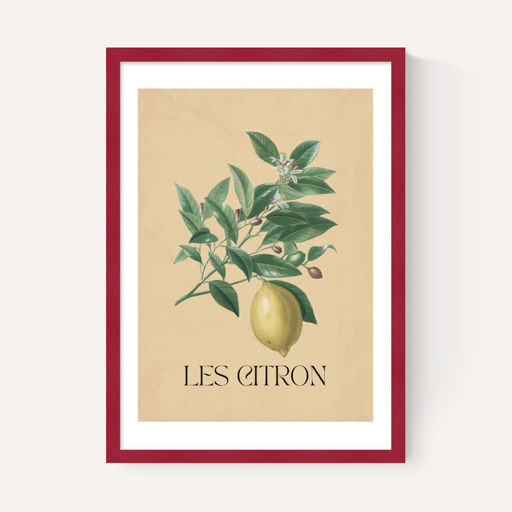 Les Citron