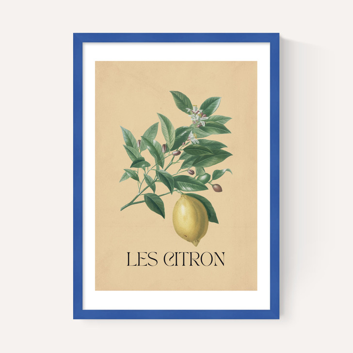 Les Citron