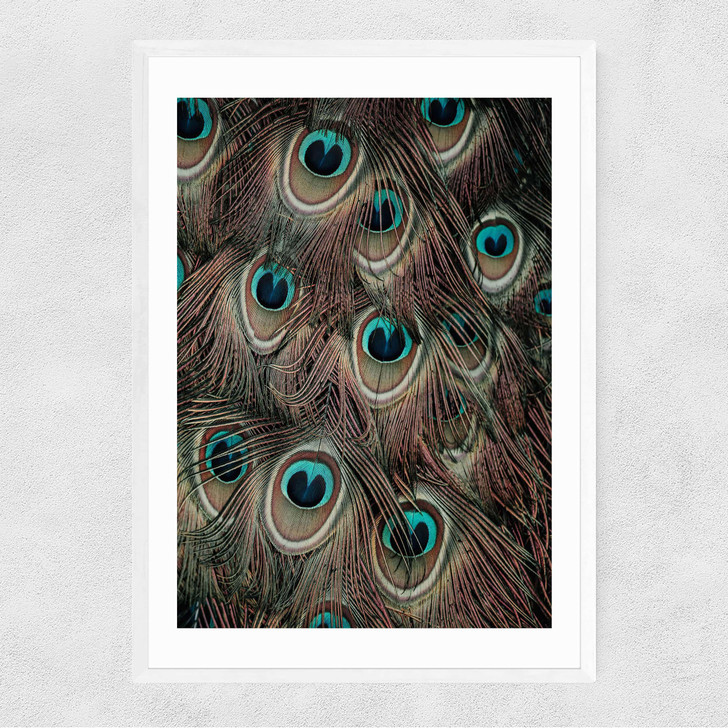 Peacock Feathers Narrow White Frame Peacock Feathers Narrow White Frame