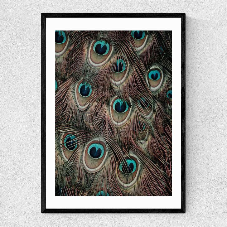 Peacock Feathers Narrow Black Frame