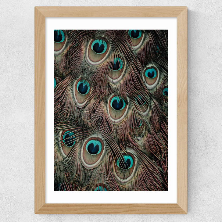 Peacock Feathers Wide Oak Frame