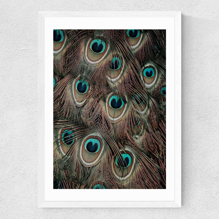 Peacock Feathers Medium White Frame