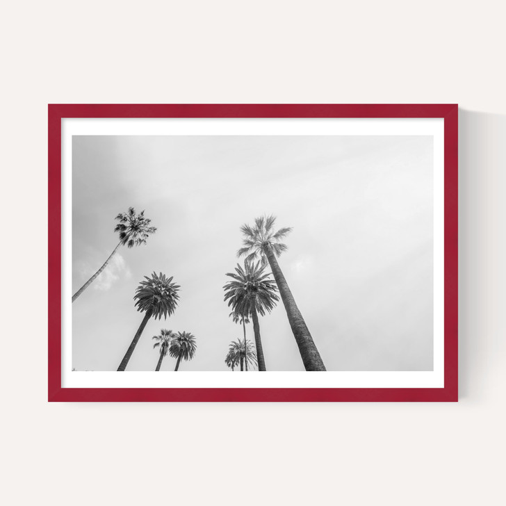 8 Palms