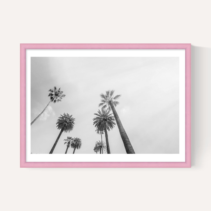 8 Palms
