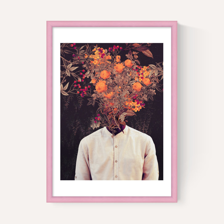 Bloom
