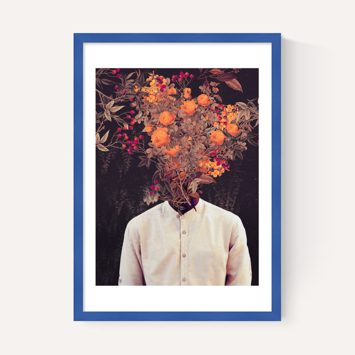 Bloom
