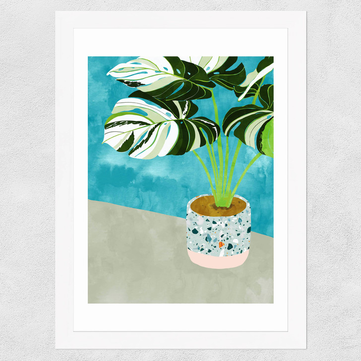 Variegated Monstera Wide White Frame Variegated Monstera Wide White Frame
