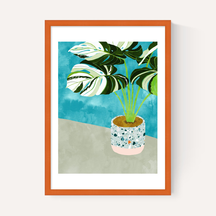 Variegated Monstera