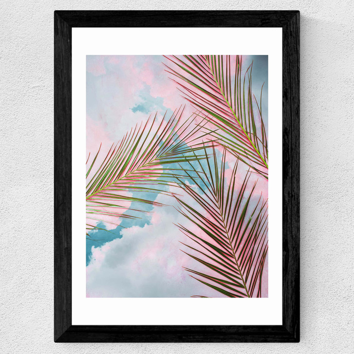 Palms + Sky Wide Black Frame Palms + Sky Wide Black Frame