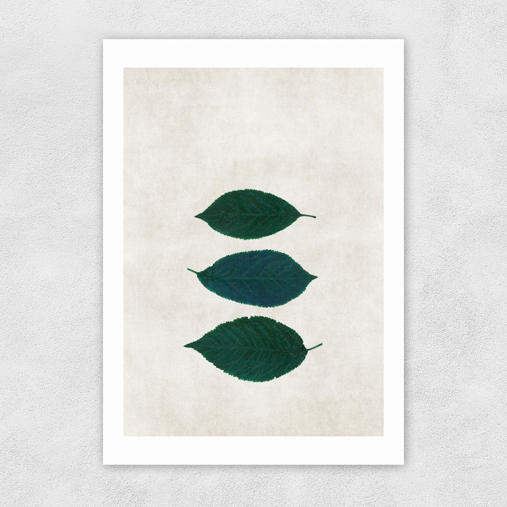 Three Of A Kind V Unframed Print