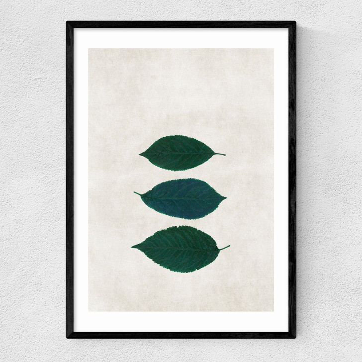 Three Of A Kind V