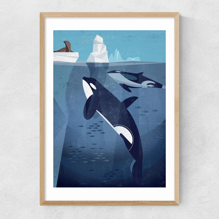 Orcas by Dieter Braun Narrow Oak Frame