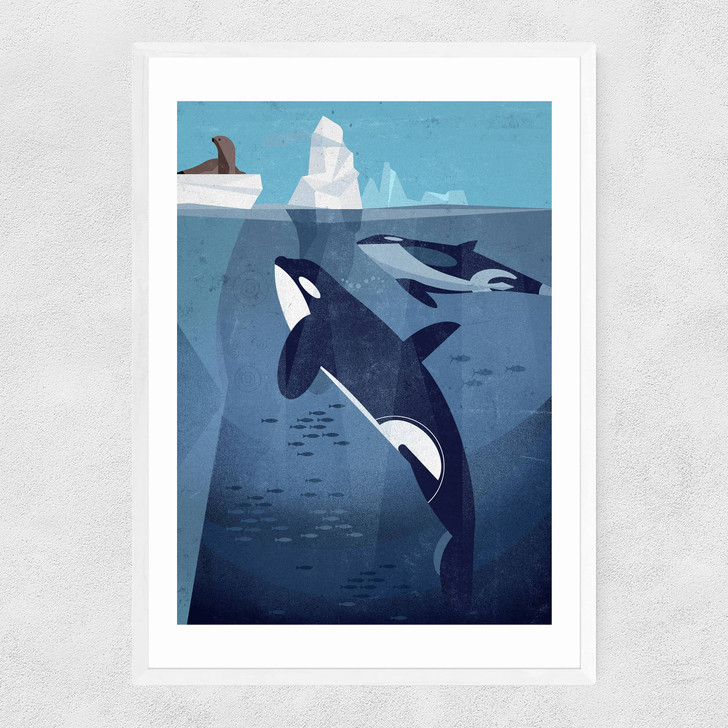 Orcas by Dieter Braun Narrow White Frame