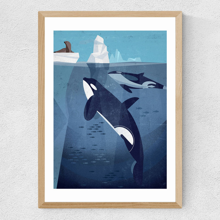 Orcas by Dieter Braun Medium Oak Frame