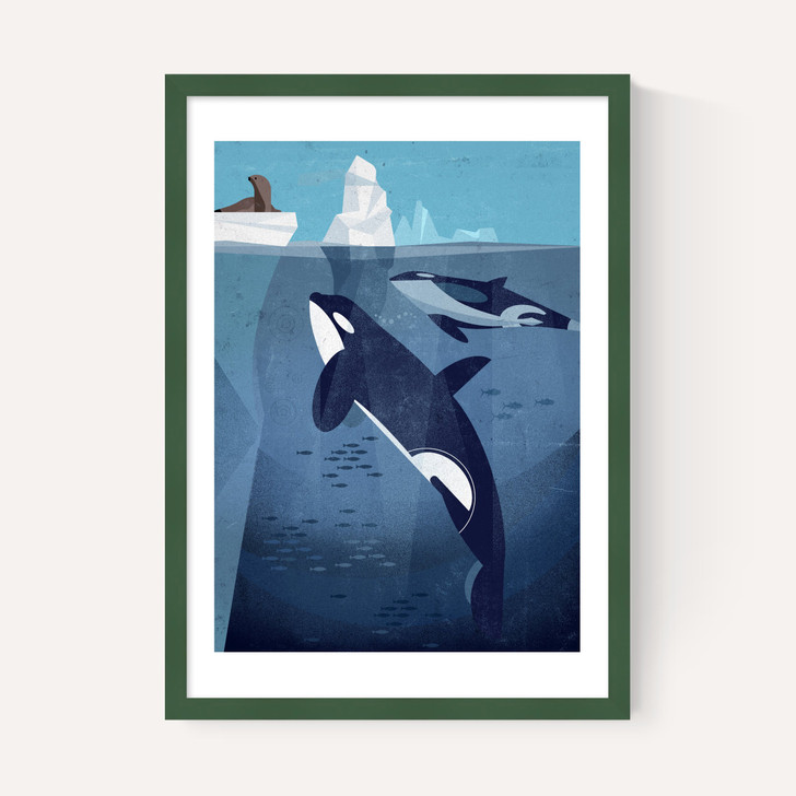 Orcas by Dieter Braun