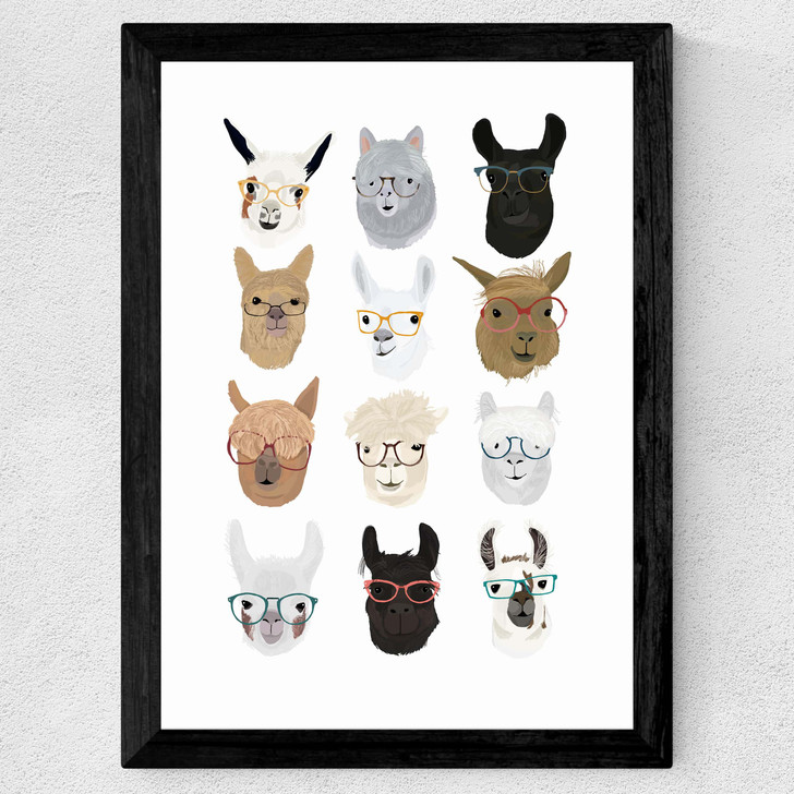 Lamas in Glasses Wide Black Frame