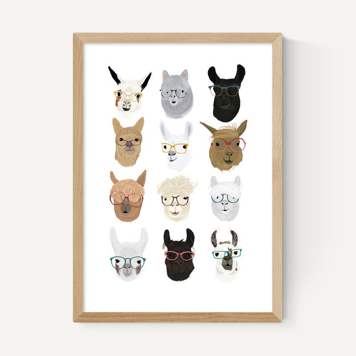 Lamas in Glasses