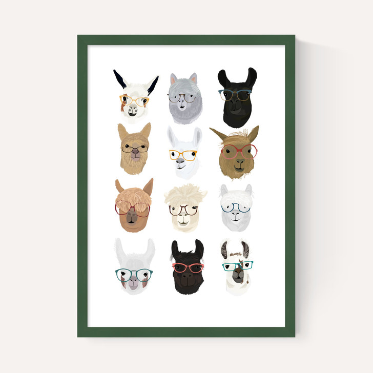 Lamas in Glasses