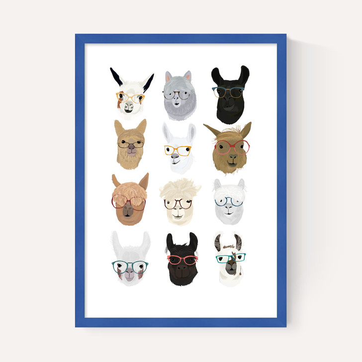 Lamas in Glasses