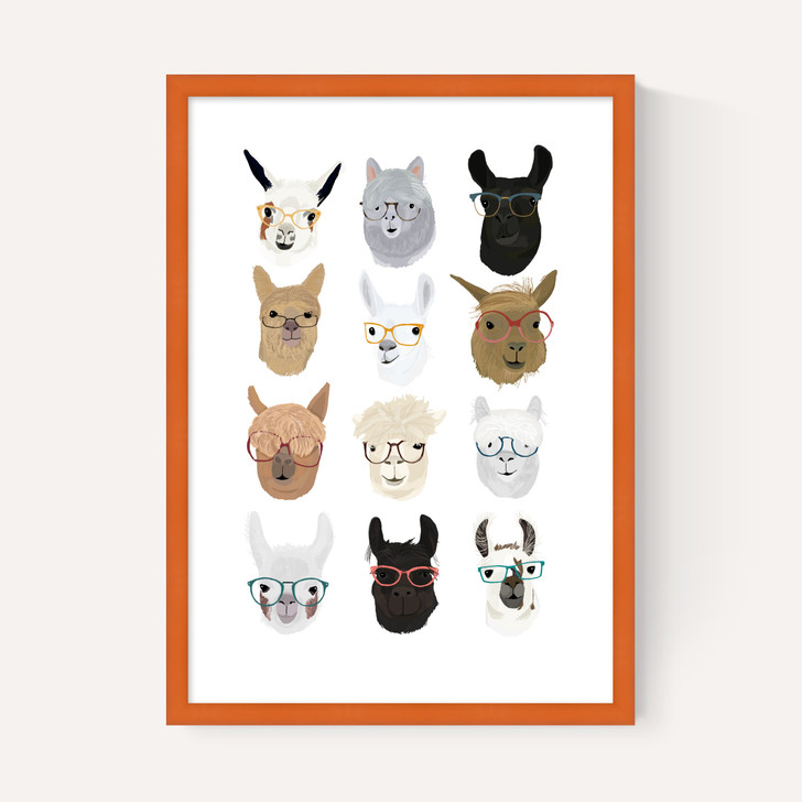 Lamas in Glasses
