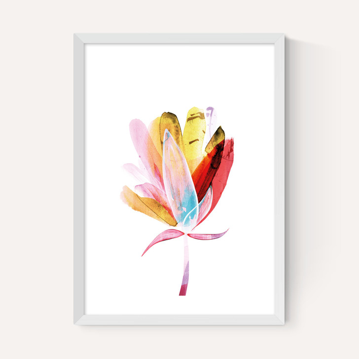 Bloomer