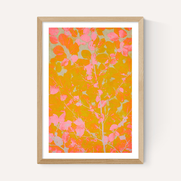 Colourful Autumn