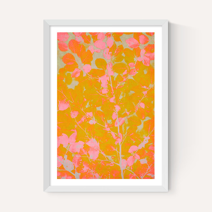 Colourful Autumn